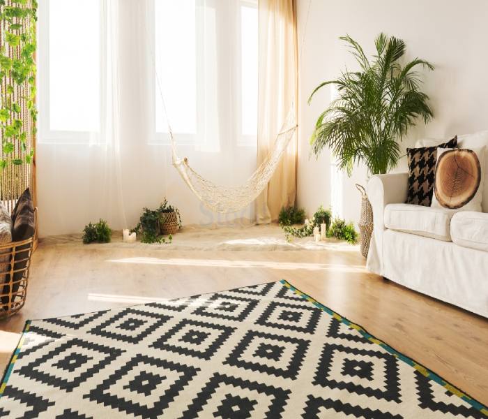 Carpet (2) Carpet Fillmore